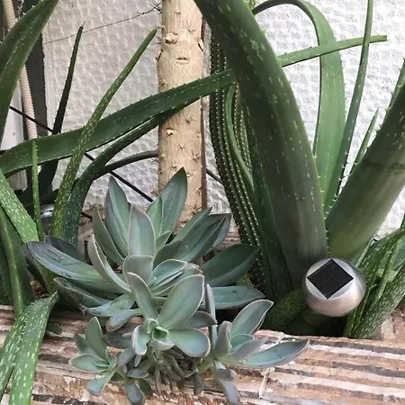 Absolute Apartment *